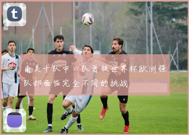 南美十队中六队晋级世界杯欧洲强队却面临完全不同的挑战