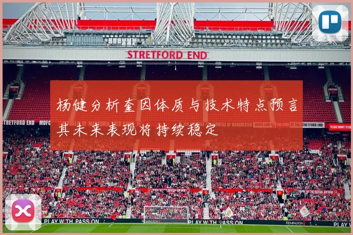 杨健分析奎因体质与技术特点预言其未来表现将持续稳定