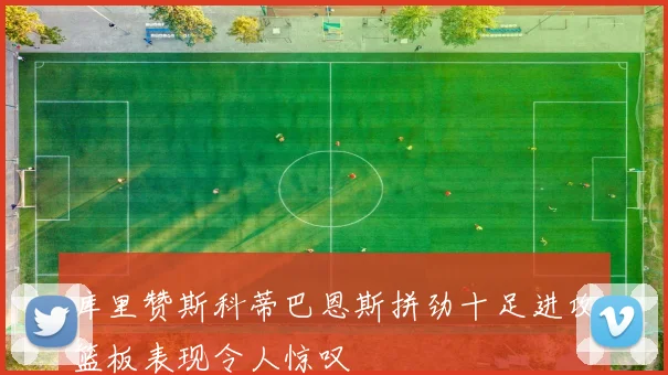 库里赞斯科蒂巴恩斯拼劲十足进攻篮板表现令人惊叹