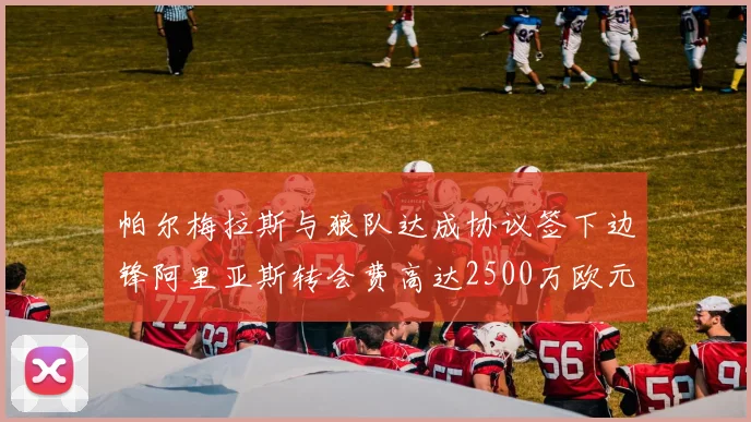 帕尔梅拉斯与狼队达成协议签下边锋阿里亚斯转会费高达2500万欧元