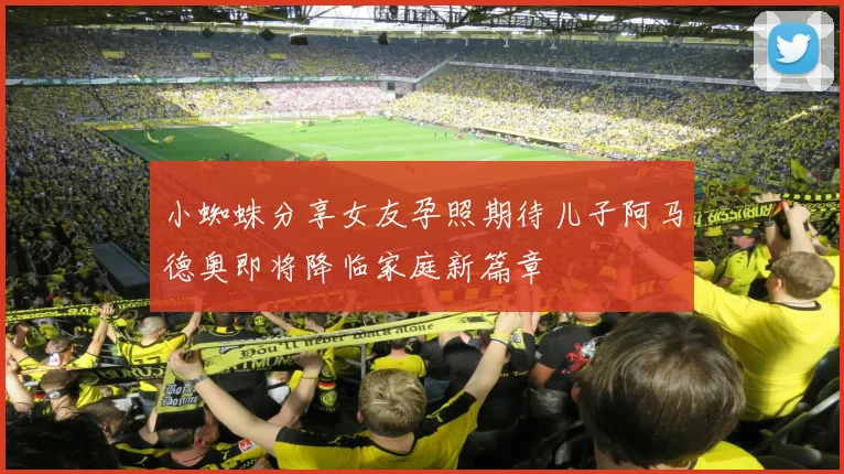 小蜘蛛分享女友孕照期待儿子阿马德奥即将降临家庭新篇章