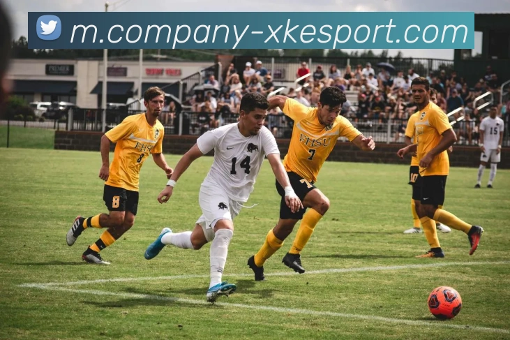 星空电竞平台生态图